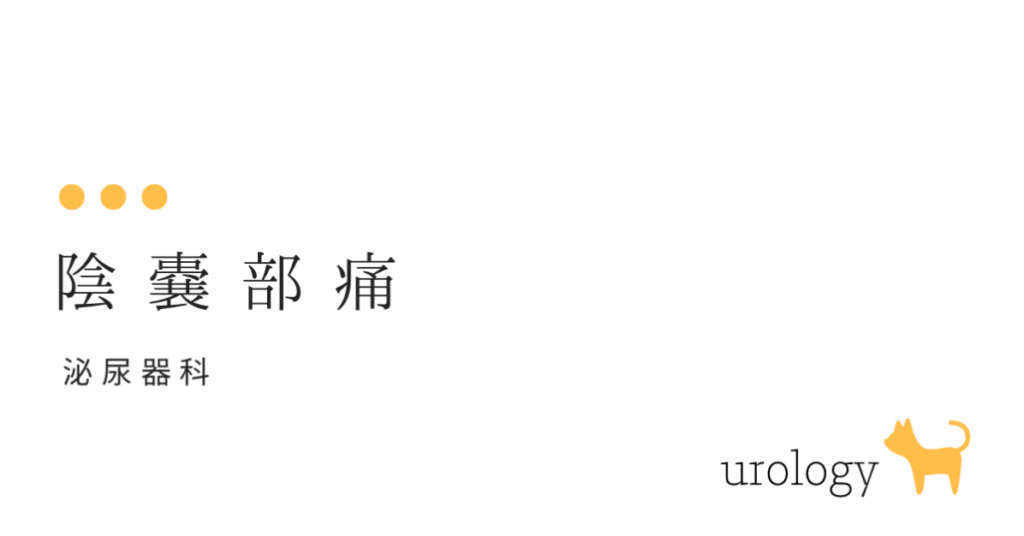 　陰嚢部痛　たまたまが痛いのはなぜ？-大和クリニックー木更津市の泌尿器科