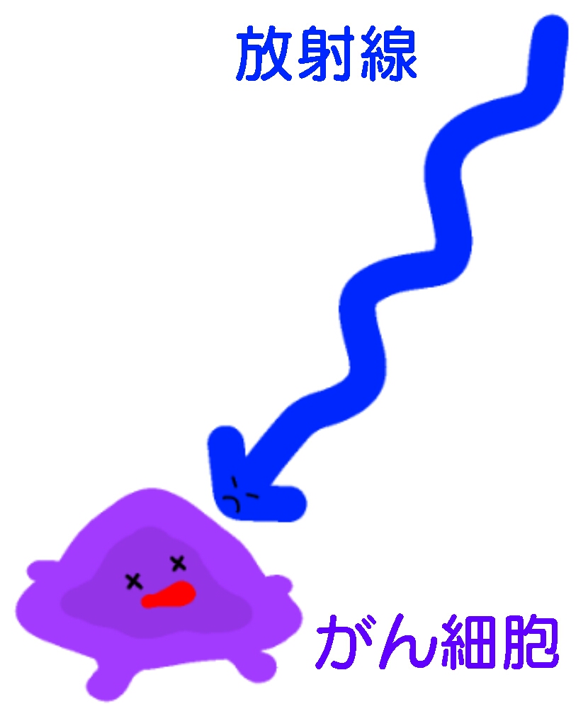 放射線性膀胱炎 -大和クリニック-木更津市の泌尿器科