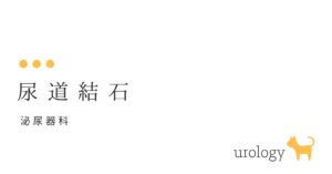 尿道結石（にょうどうけっせき）-大和クリニック-木更津市の泌尿器科